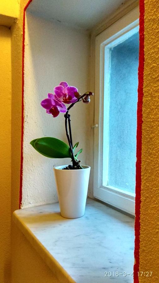 Bed and Breakfast Le Rondini Di San Donato Lucca Exterior foto