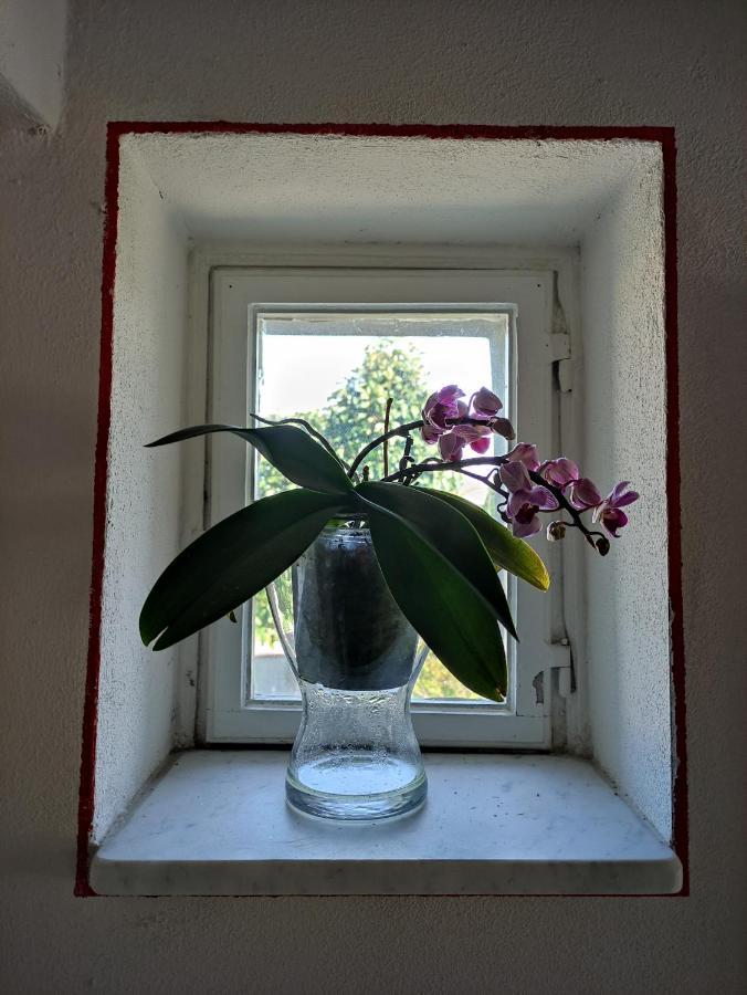 Bed and Breakfast Le Rondini Di San Donato Lucca Exterior foto